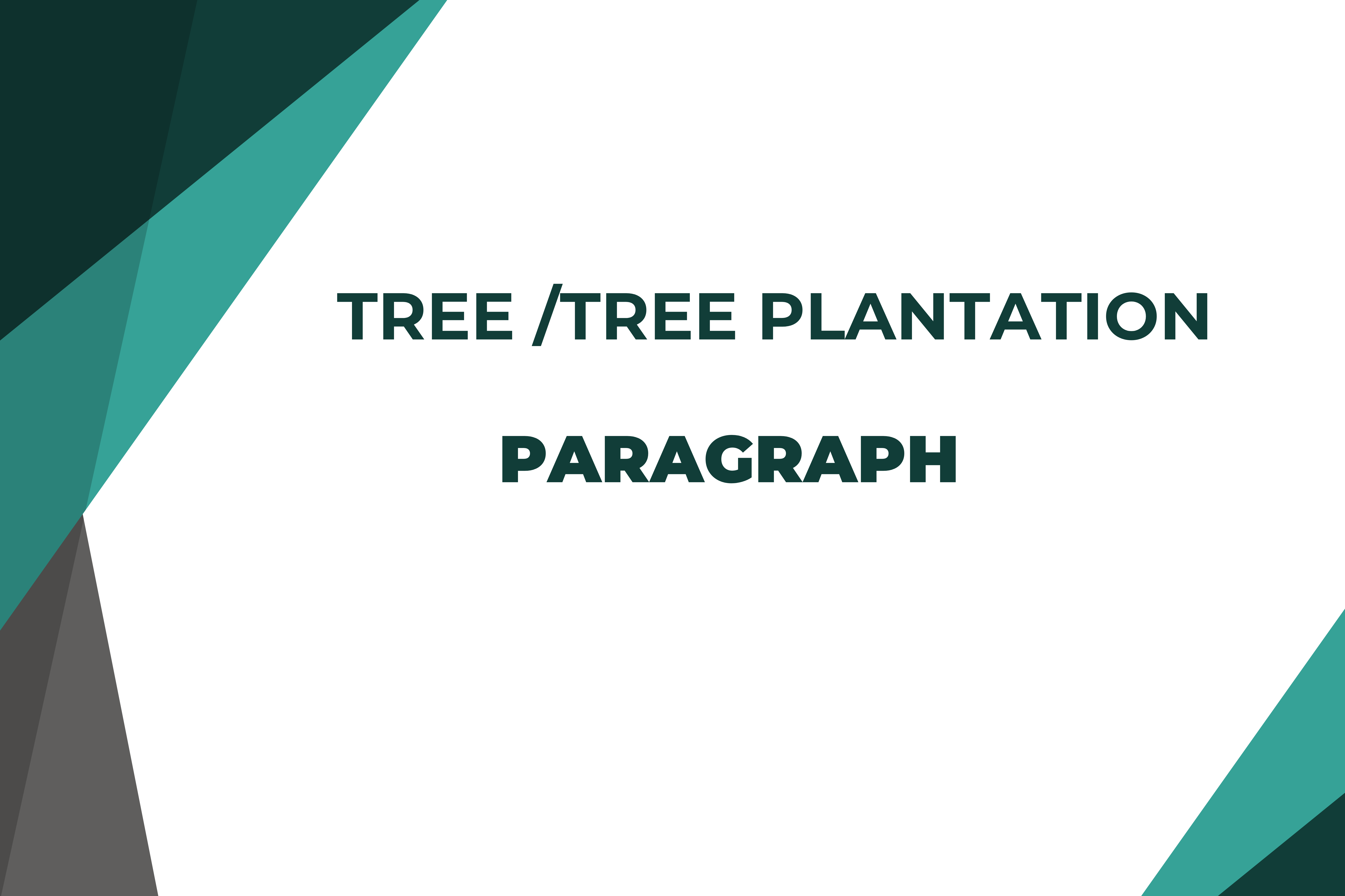 Tree /Tree Plantation paragraph